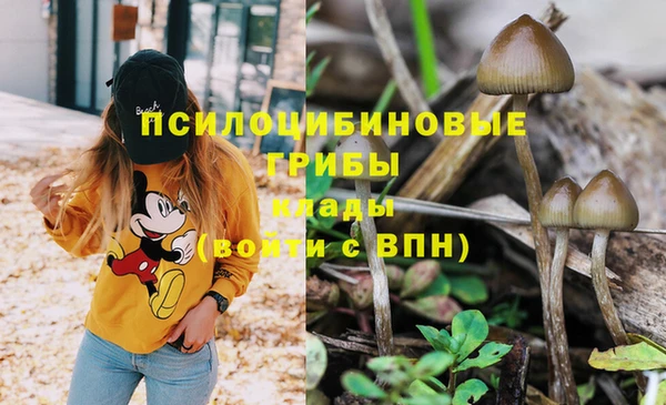 jwh Горнозаводск