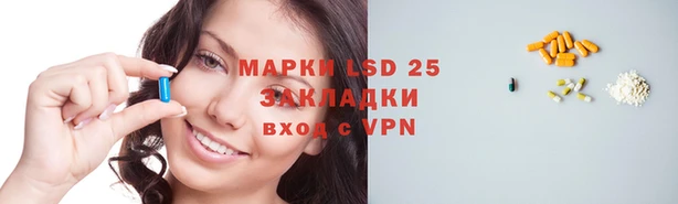 молекула духа Вязьма