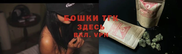 молекула духа Вязьма