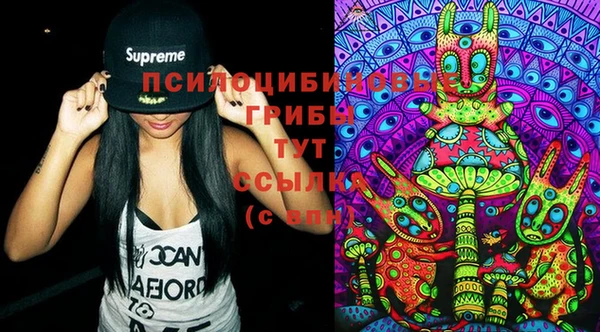 молекула духа Вязьма