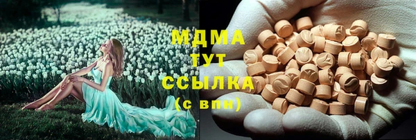 эйфоретик Гусь-Хрустальный