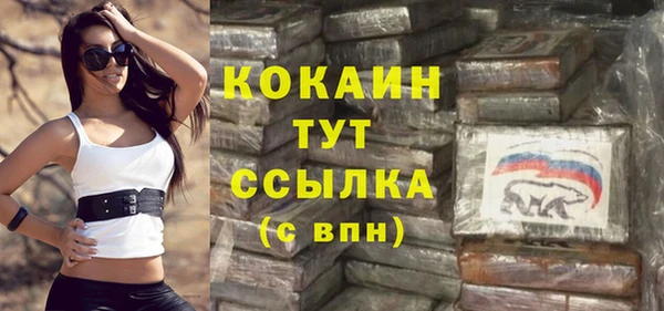 молекула духа Вязьма