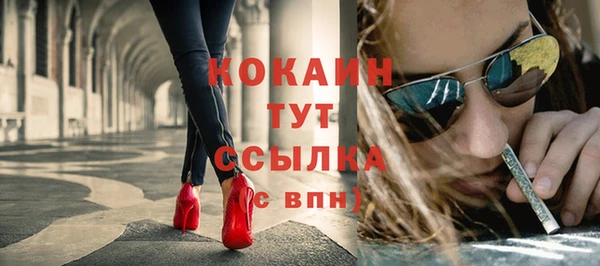 тгк Вяземский