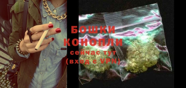 молекула духа Вязьма